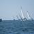 Regatta