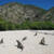  Parque Nacional Isla Cabritos