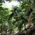 Nim Li Punit Mayan  