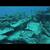 Bimini Trader Dive Site