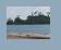 Shore